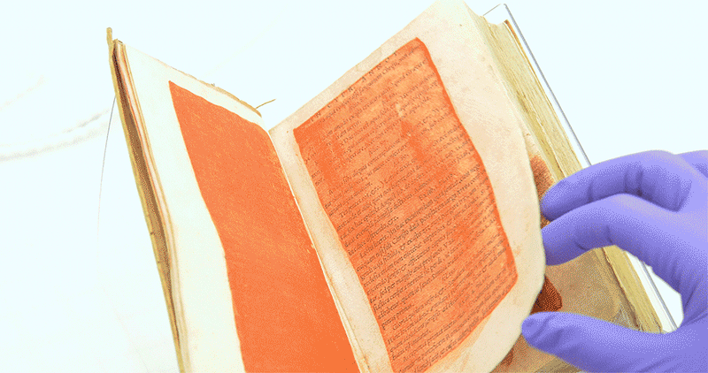 Animated gif of person thumbing through a painted book