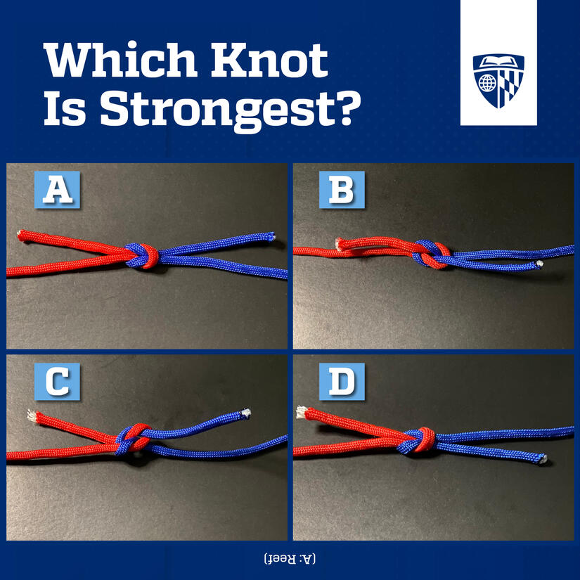 Image of four knots.