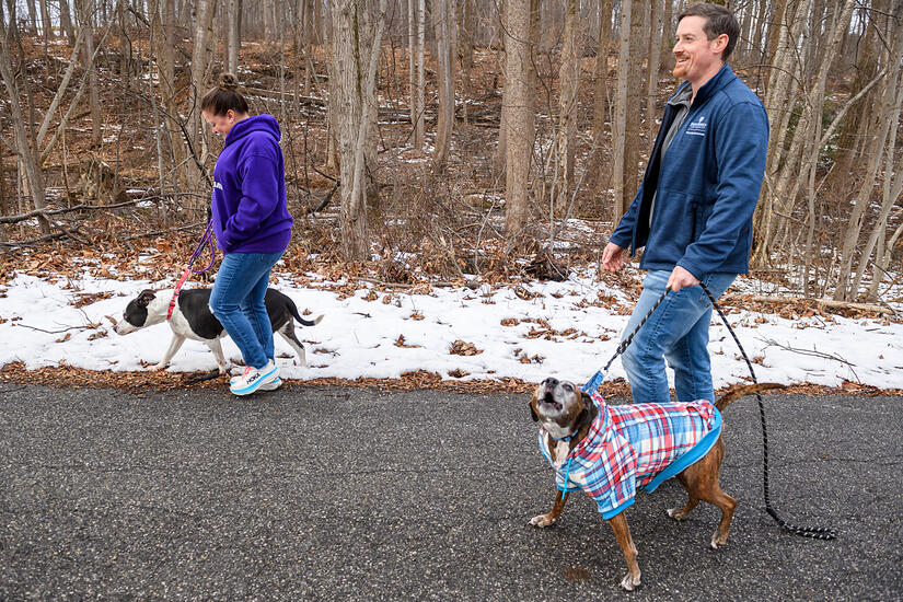 Klinedinst and Searfoss take a walk with Emma and a plaid-coated Stubby, who came to them as a foster in 2020.