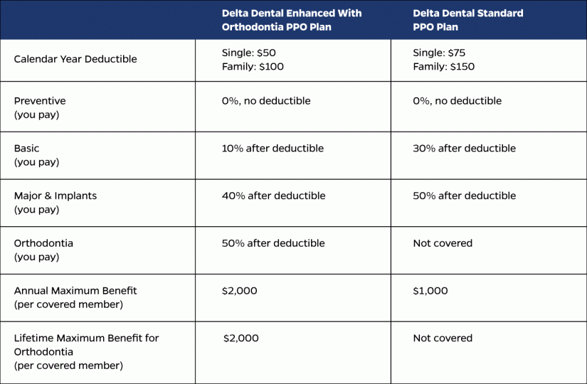 Dental Chart 