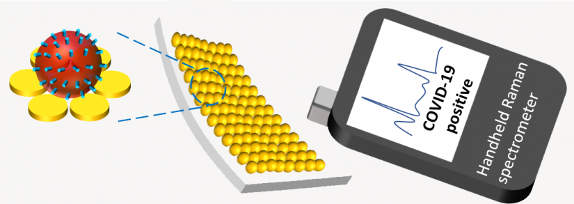 The team believes the Surface-enhanced Raman spectroscopy will be able to rapidly detect the presence of a virus, even if only small traces exist in the sample