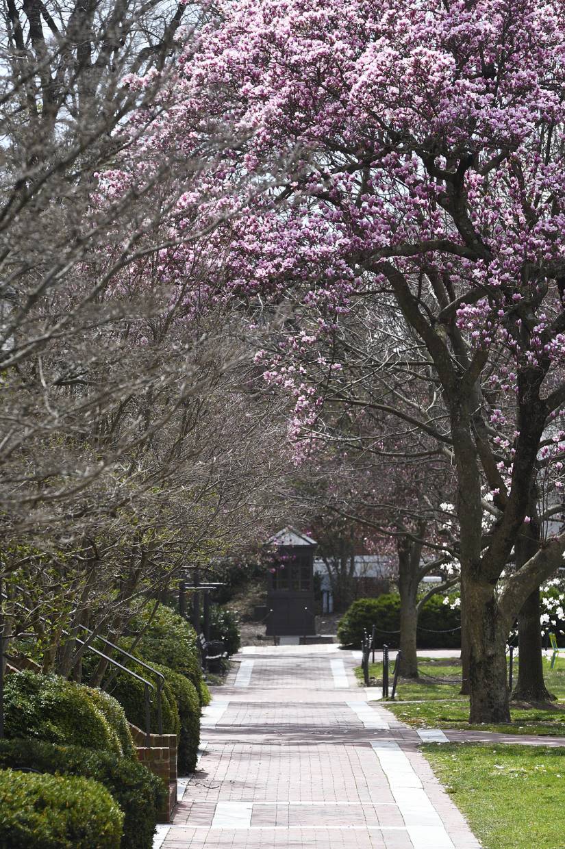 Empty campus in springtime