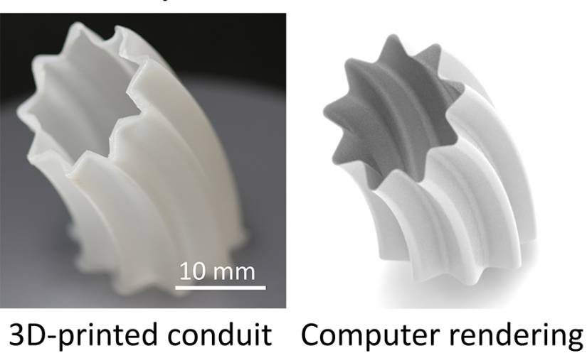 Composite image of 3D printed conduit and its computer rendering