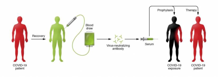 Illustration of how convalescent serum works