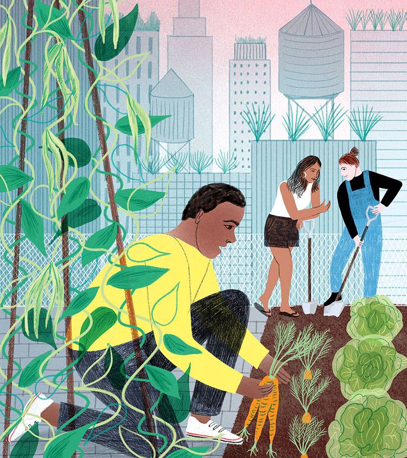 Gardeners tending to a city plot