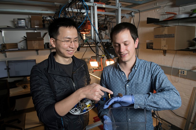 Researchers hold a robot and roach