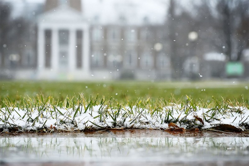 Snow falls on the grass and brick walkway with Gilman Hall in the background