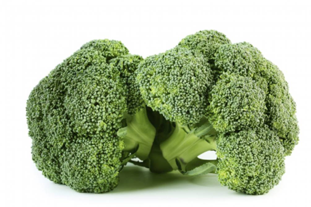 Chemical derived from broccoli sprouts shows promise in treating autism Hub