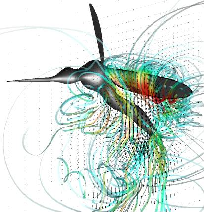 Colorful swirls show the streamlines of the mosquito wings