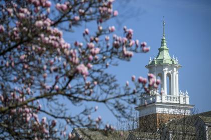 Johns Hopkins Graduate Programs Again Ranked Among Nation's Best 