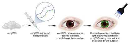 A chart explaining how the gel works. The first image, of the gel, is captioned, 