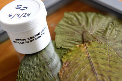 Framed kratom leaves sit beneath a container of kratom