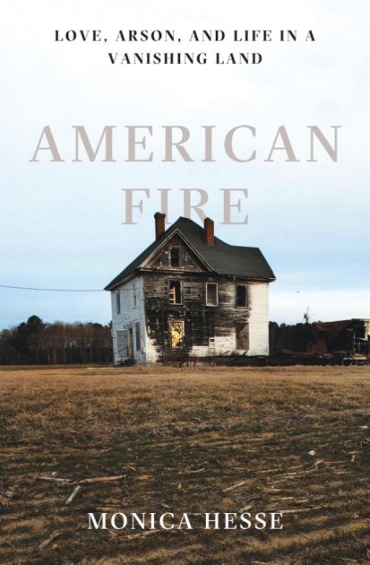 Cover image of 'American Fire'