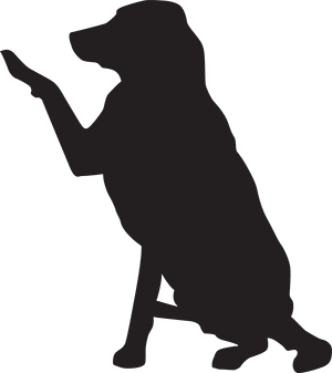 Silhouette of a dog