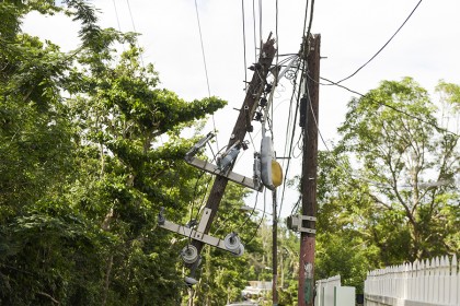 Trees surround broken telephone pole Trees surround broken telephone pole