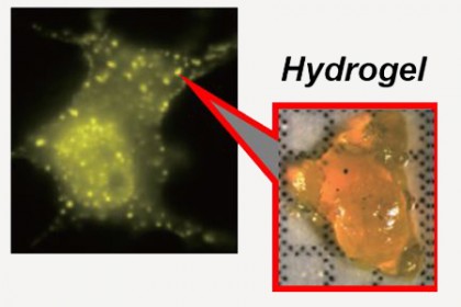 On the left, light green spots indicate the presence of hydrogels. On the right is an image of hydrogel material