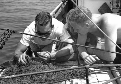 Aboard the Maury on the bay, scientists look through seaweed samples.