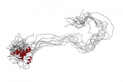 A long chain of crimped and tangled protein strands sprawls like a bundle of wires