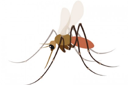 Mosquito emoji