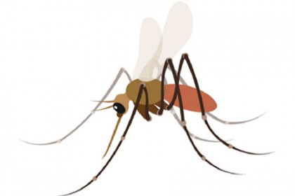 Mosquito emoji