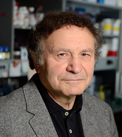 Johns Hopkins biomedical engineering professor Aleksander Popel