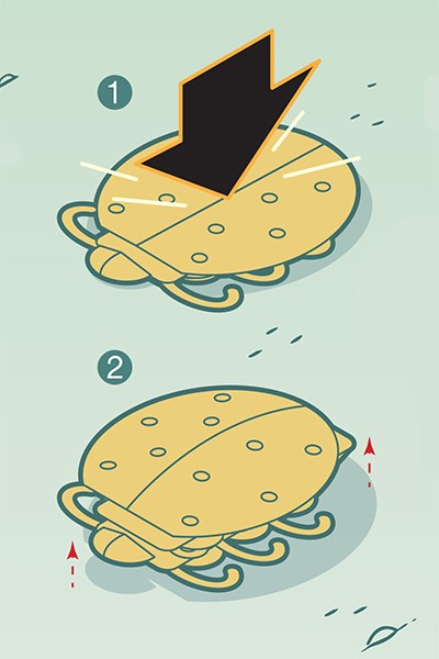 Illustration showing a robo roach flattening itself