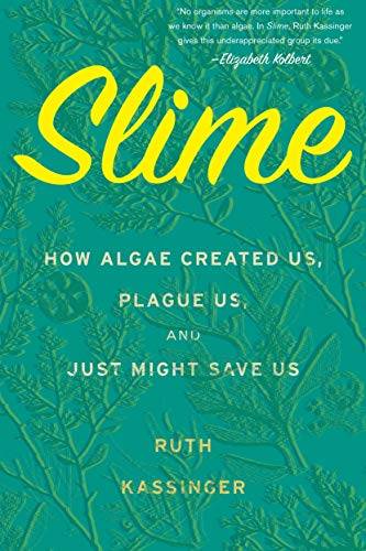 Slime book cover