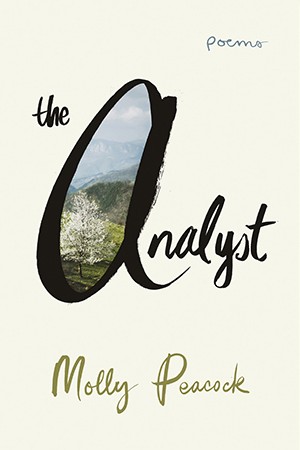 Book cover for 'The Analyst'