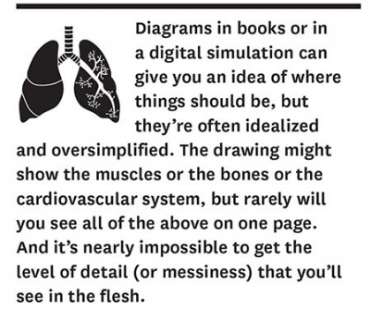 Do All Medical Students Have To Dissect A Cadaver