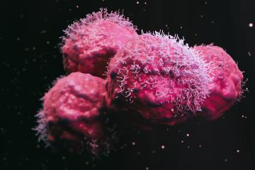 Artist's rendering of tumor cells