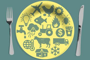An illustration of a yellow plate with green farm images