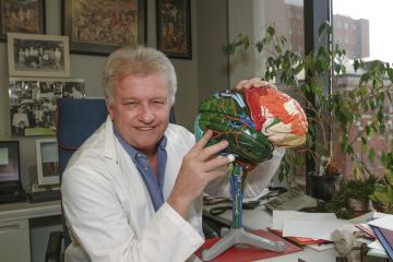 A person holding a model of a brain