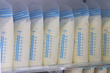 Pouches of expressed breast milk sit on a refrigerator shelf