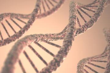Three DNA double helixes on a peach-colored background