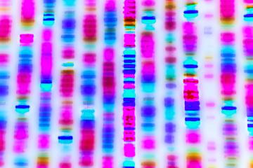 A DNA sequence shown in parallel vertical rows of blues, reds, and pinks