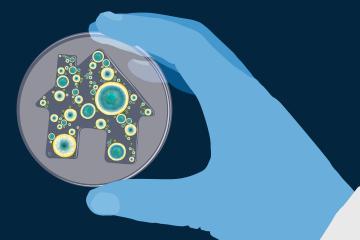 Illustration of a blue hand holding a petri dish with a house image