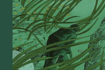 Cover art for 'Waders' features a moody green illustration of a man walking through underwater seaweed