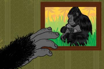 The furry hand of an ape reaches out to touch a framed photo of a mom and baby ape