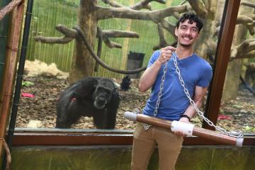 A student shows off PulseApe while standing in front of a chimpanzee in the Maryland Zoo