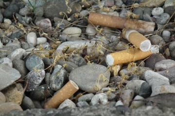 Cigarette butts scattered among rocks