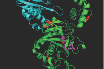 Multicolored image of curled proteins