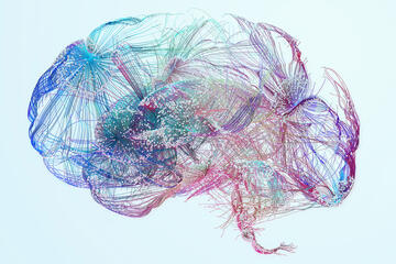 Multicolor human brain illustration