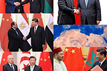 Collage of posed photographs of Chinese and North African politicians shaking hands