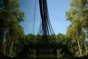 Tall, green trees are seen on the left of this photo and also reflected in the curve, mirrored glass facade of a campus building on the left