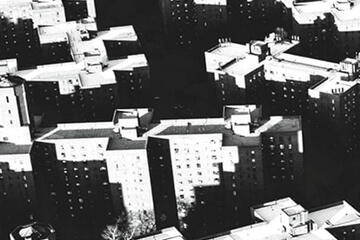 cover of 'Rat City' shows aerial view of city buildings