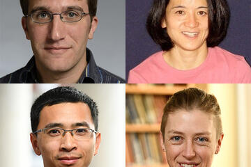 Clockwise from top left: Jacob Bernstein, Chikako Mese, Emily Riehl, and Ziquan Zhuang