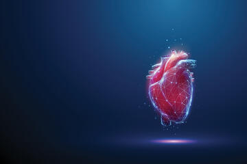 Abstract low poly red human heart