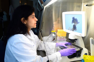 Annie Kathuria looks at a computer screen while wearing purple lab gloves