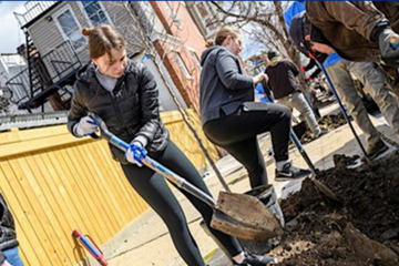 Volunteers during a past Mayor's Fall Cleanup event use shovels