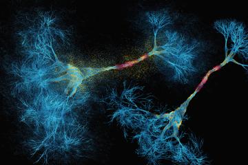 Conceptual medical image of glowing synapse